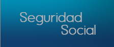 seguridad social